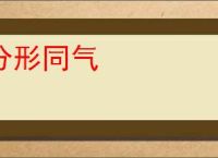 分形同气