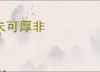 未可厚非