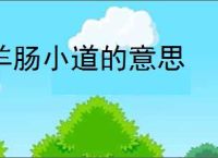 羊肠小道的意思