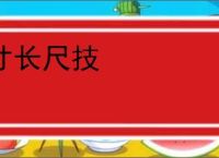 寸长尺技