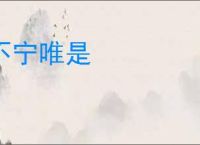 不宁唯是