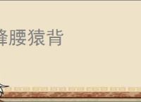 蜂腰猿背