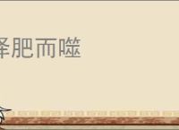 择肥而噬