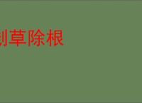 刬草除根