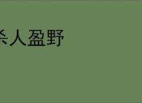 杀人盈野