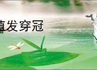 植发穿冠