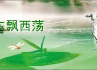 东飘西荡