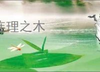 连理之木