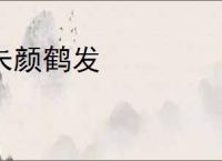 朱颜鹤发