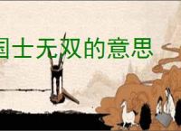 国士无双的意思