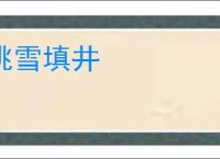 挑雪填井