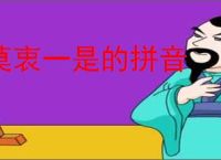 莫衷一是的拼音