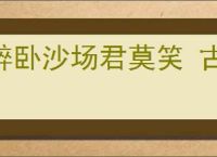 醉卧沙场君莫笑 古来征战几人回