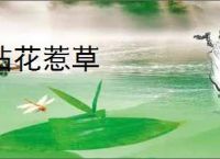 拈花惹草