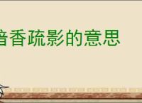 暗香疏影的意思