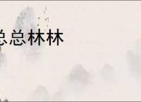 总总林林