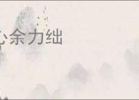 心余力绌