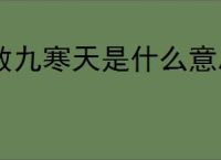 数九寒天是什么意思