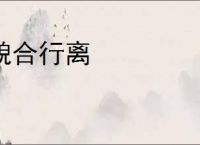 貌合行离