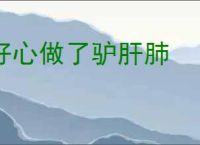 好心做了驴肝肺