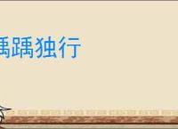 踽踽独行