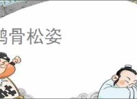 鹤骨松姿