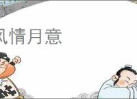 风情月意