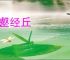 寻壑经丘