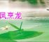 砲凤烹龙