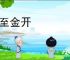 诚至金开