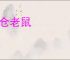 官仓老鼠