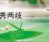 麦秀两歧
