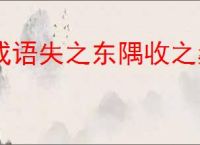 成语失之东隅收之桑榆是什么意思