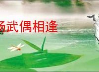 汤武偶相逢