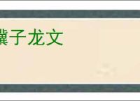 骥子龙文