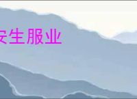 安生服业