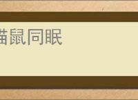 猫鼠同眠