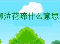 柳泣花啼什么意思