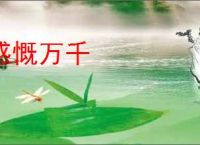 感慨万千