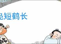 凫短鹤长