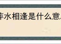 萍水相逢是什么意思