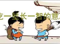 吃一堑长一智的意思