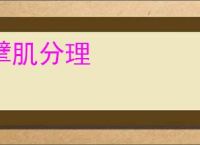 擘肌分理