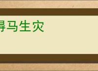 得马生灾