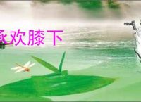 承欢膝下