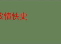 浓情快史