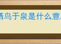 栖鸟于泉是什么意思
