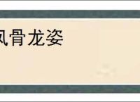 凤骨龙姿