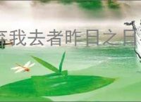 弃我去者昨日之日不可留