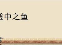 釜中之鱼